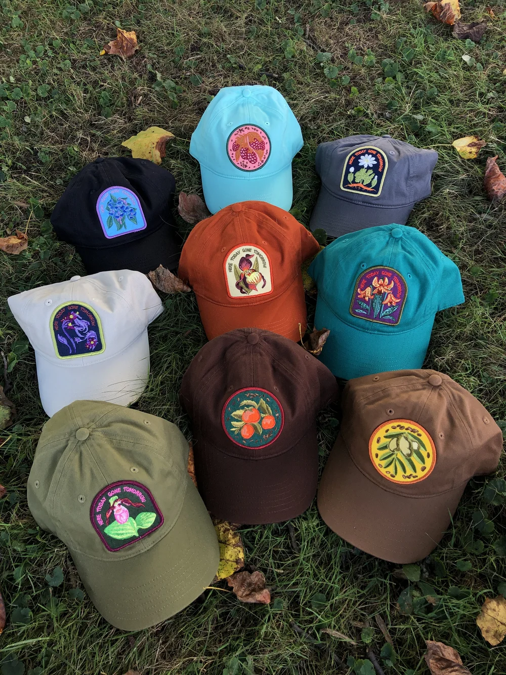 Bloodroot Organic Cotton Native Plant Patch Hat — SOLSTICE HANDMADE